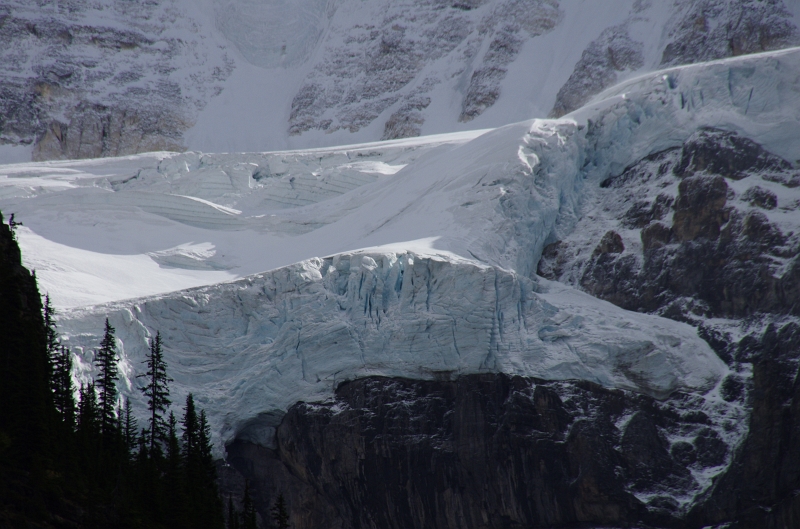 Banff NP 'Moraine  Lake Lakeshore' 16_09_2011 (113).JPG